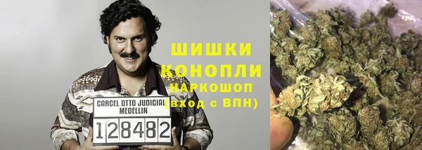 гидропоника Алзамай