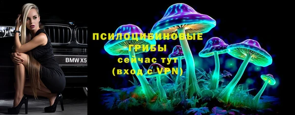 a pvp Алексин