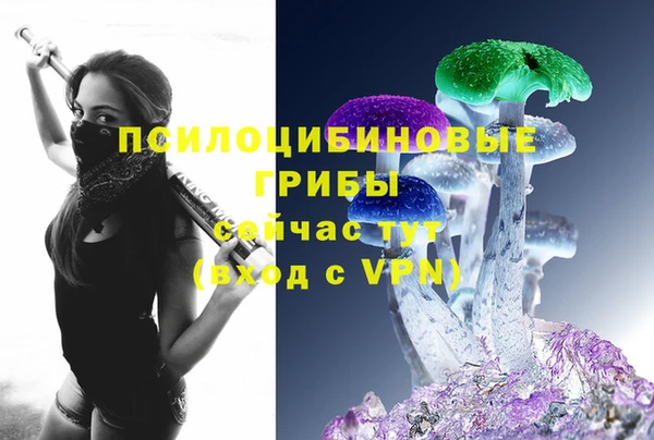 a pvp Алексин