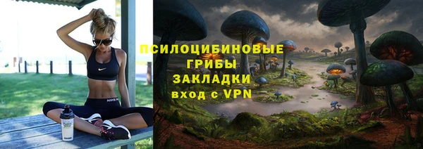 гидропоника Алзамай
